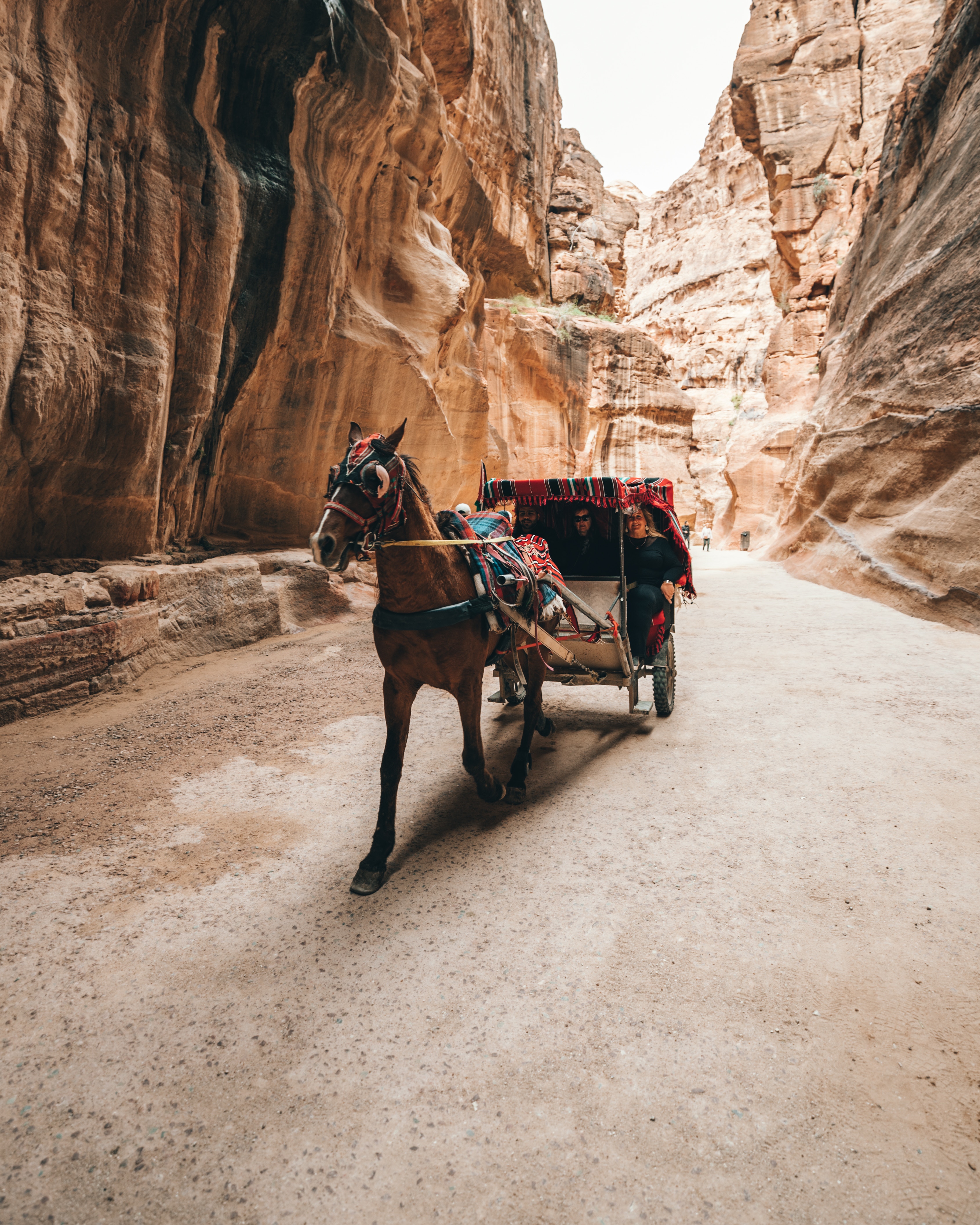 spencer-davis-8J7aUPHX9UY-unsplash